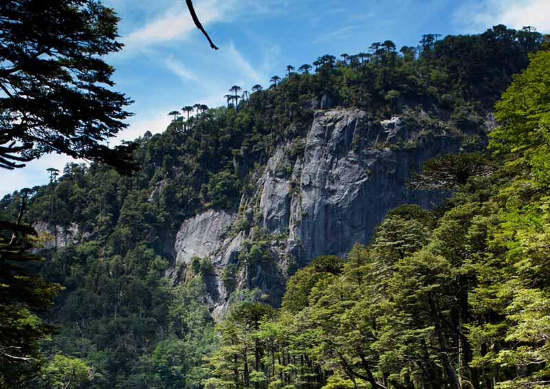 cabañas para arrendar en pucon, comprar en pucon